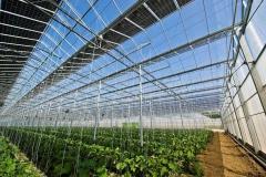 PV Green House Mounting System